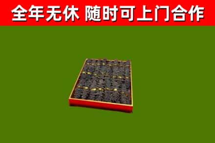 广水烟酒回收海参.jpg